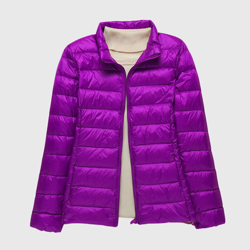 Purple Stand-up Collar / 3XL