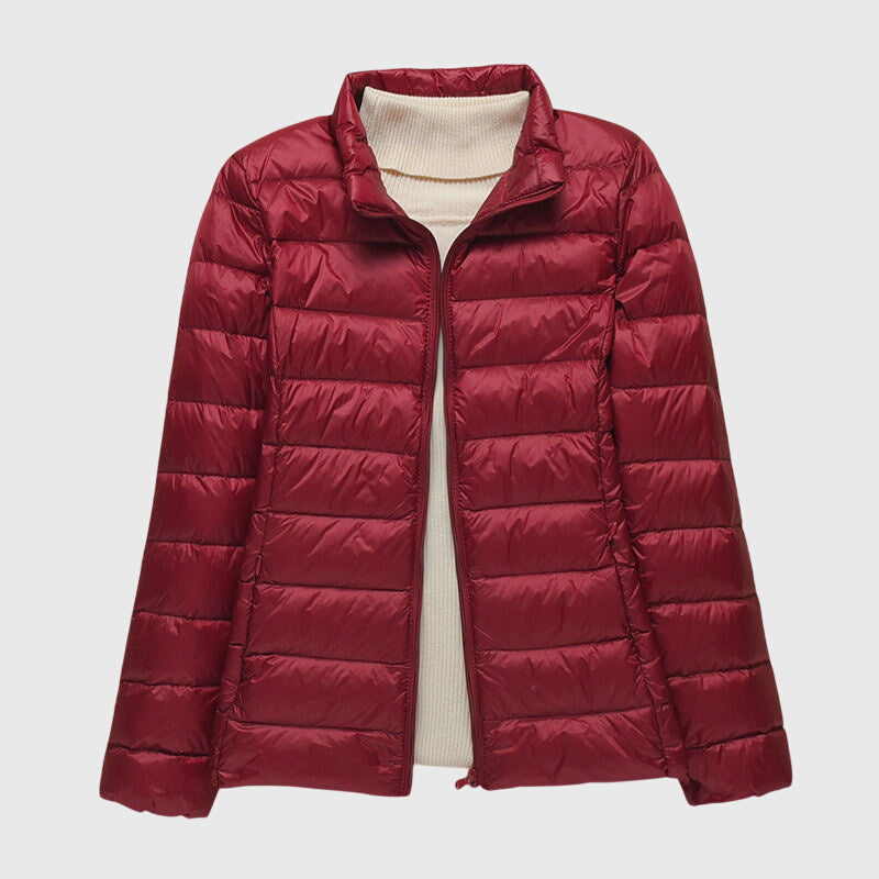 Burgundy Stand-up collar / 3XL